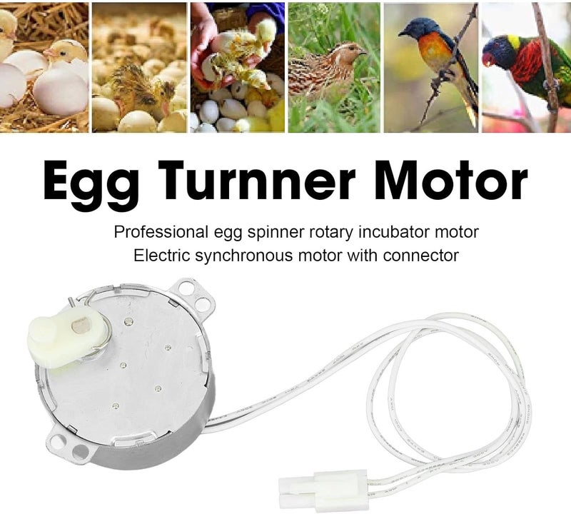 Fockety Egg Tray Turning Motor, Electric Synchron Motor Replacement Egg Turner Motor, Automatic Egg Turning Tray Tool Incubator Accessories for Incubating Chicken, Duck and Quail Egg - Image 2